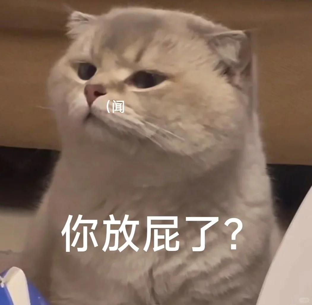 谁还不是个可可爱爱的表情猫啦