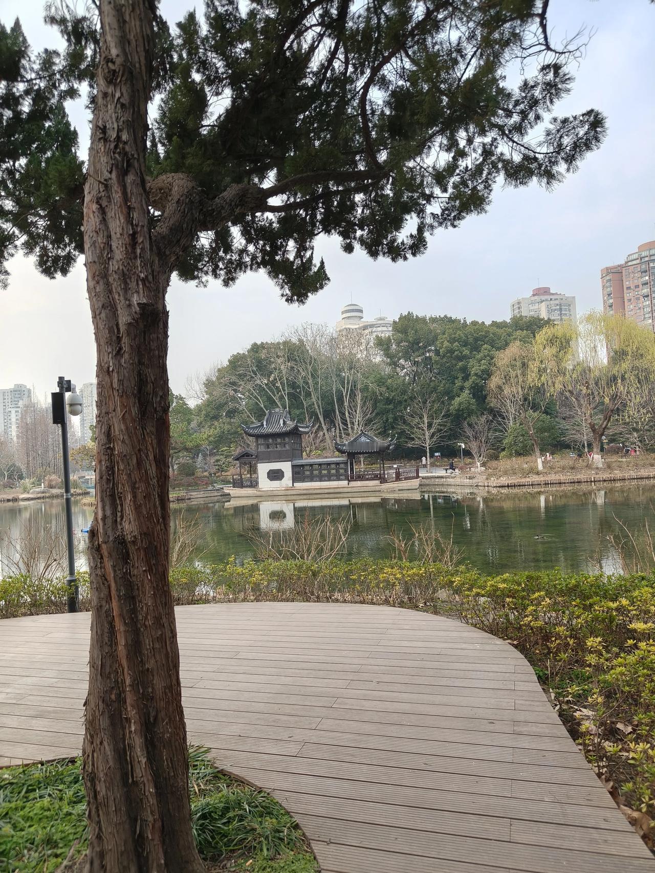 冬日和平公园散步随手拍实景图分享！

🚶🏻‍♀️🚶🏻‍♀️🚶🏻‍♂️