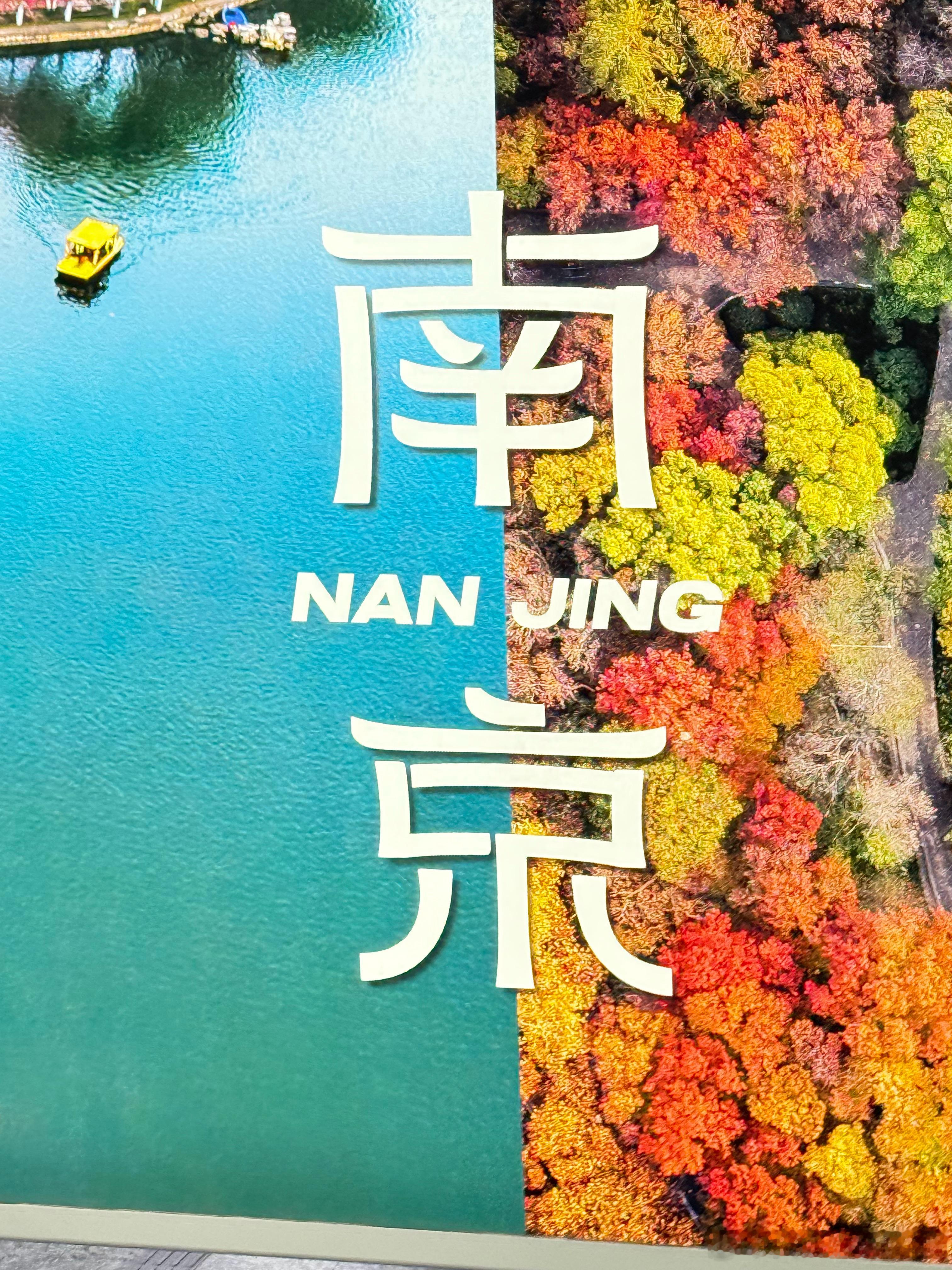 到啦到啦～ ​​​