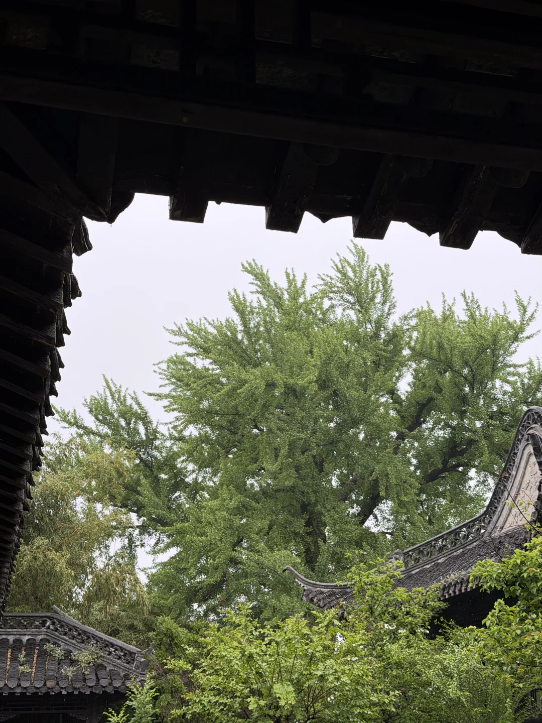 烟花三月下扬州