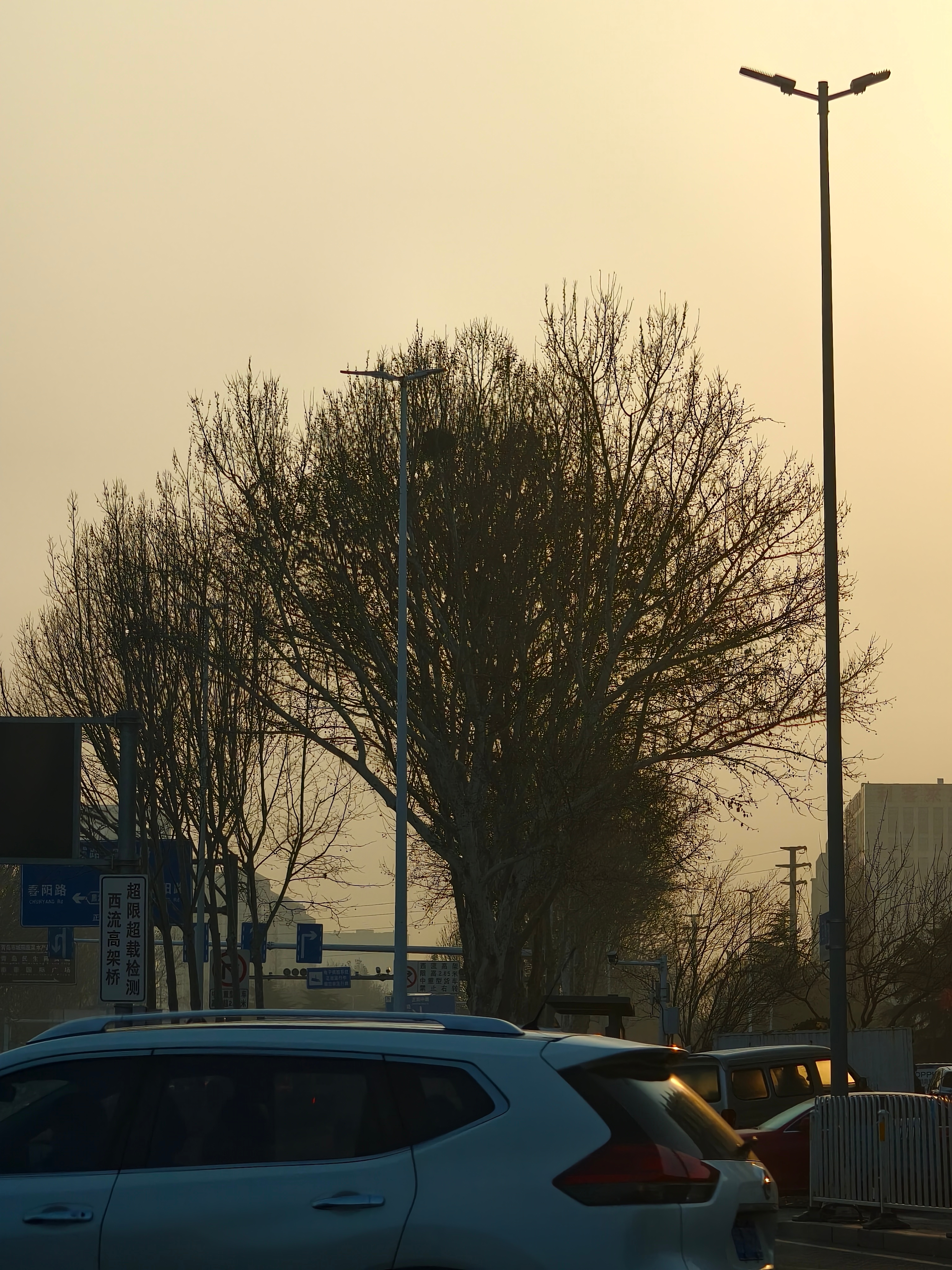 早，上班，没有比我更早的了吧？