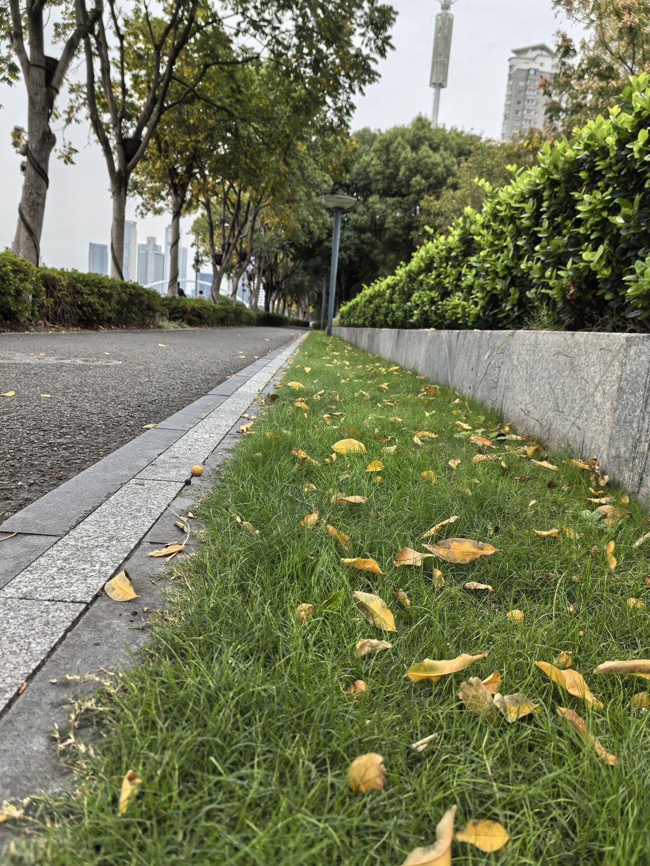 已经有四个多月没跑步了。
      晨起，外面阴天，微风，气温17度，太适合跑