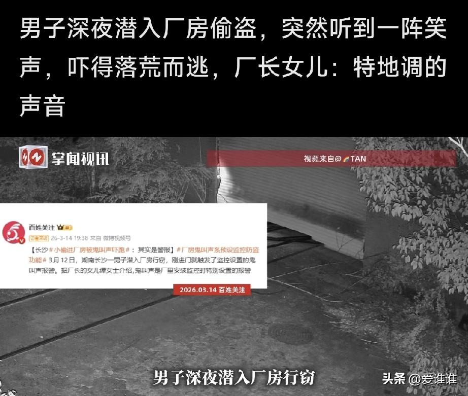 男子夜深人静时潜入厂房偷盗，刚翻入厂房院墙就发生了诡异的一幕，吓的他落荒而逃，网