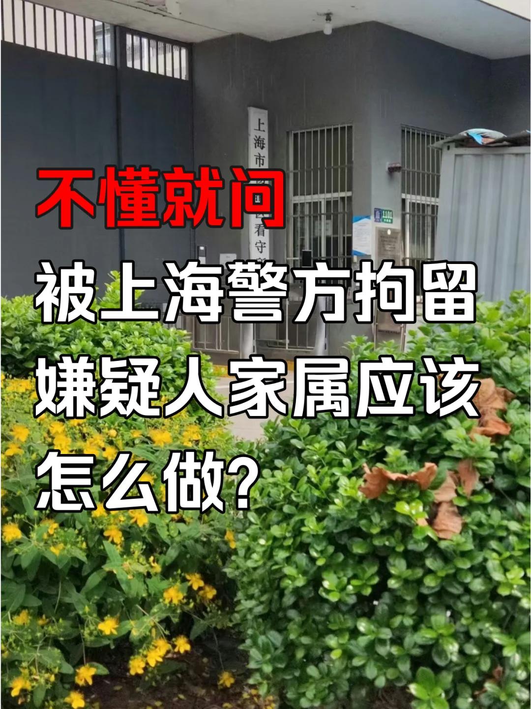 亲人被上海警方拘留，家属可以采取这些措施