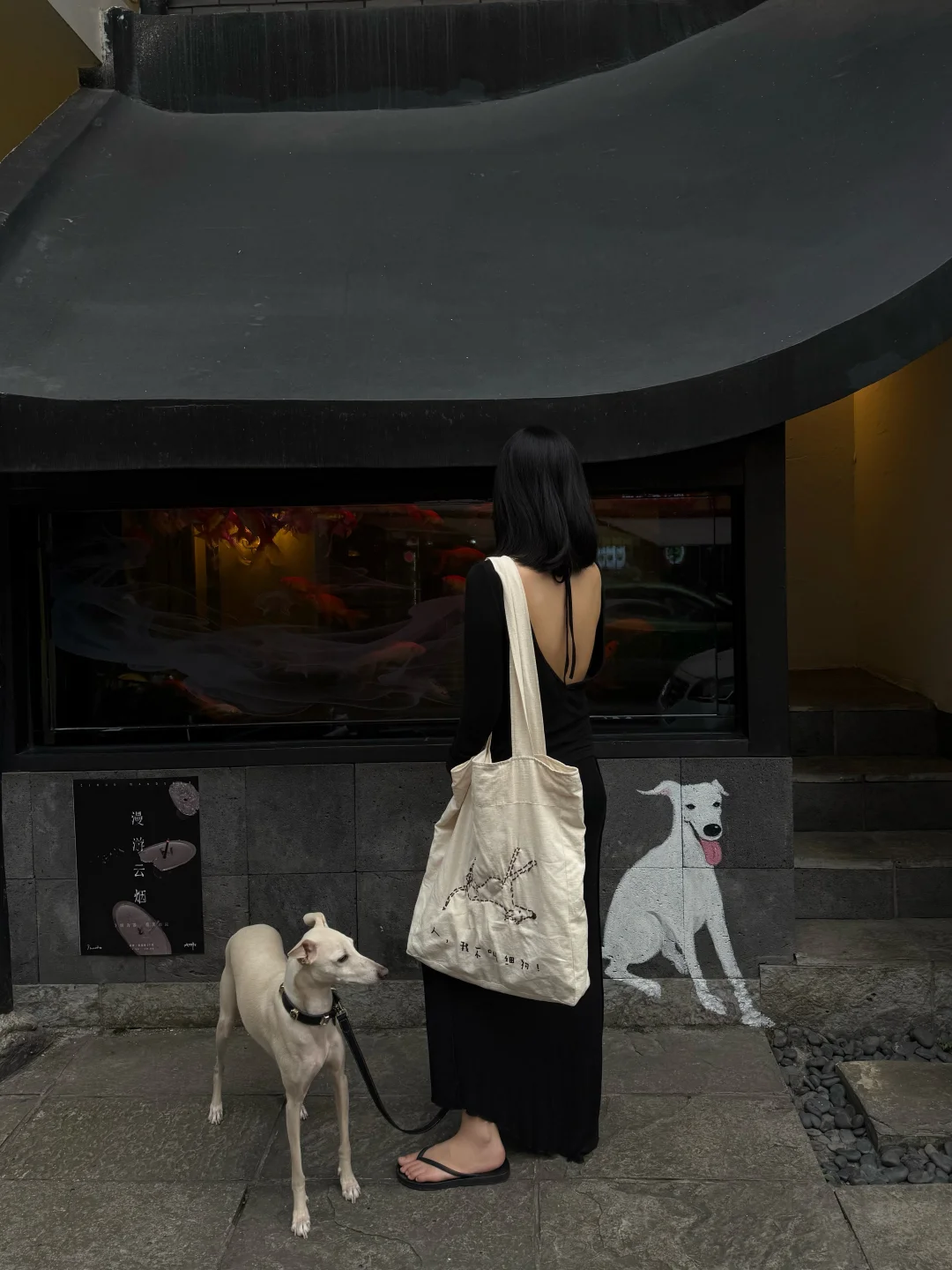 歪歪街头偶遇APP🐶