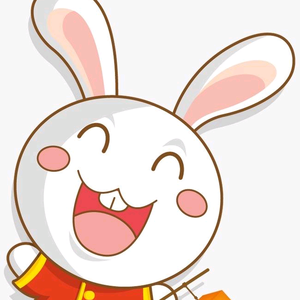 喜欢科技的兔子