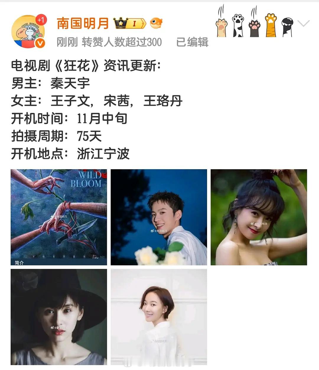 秦天宇是不是升咖了？！已经有新饼了，《狂花》男主，女主是王子文、宋茜、王珞丹[傻