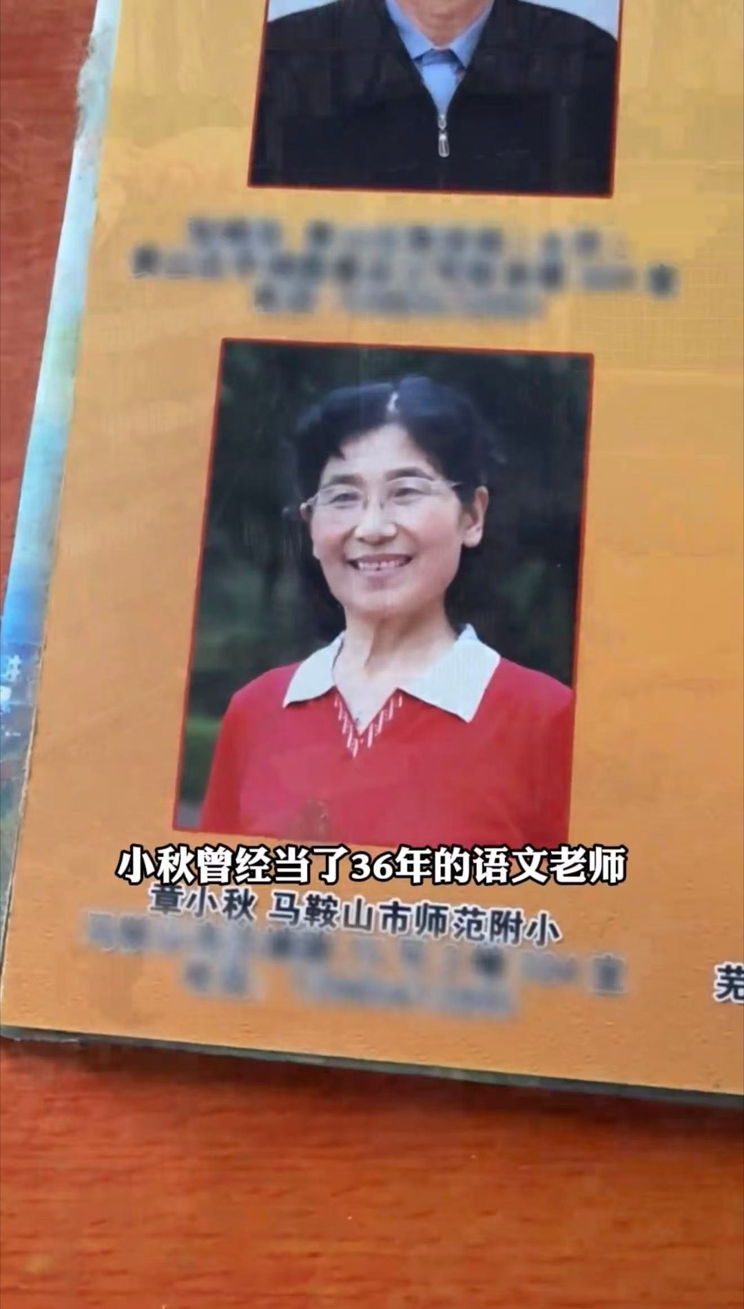 82岁退休语文老师的人生遗嘱 奶奶的温柔全在毛孩子照料里，十年如一日的坚守太戳心