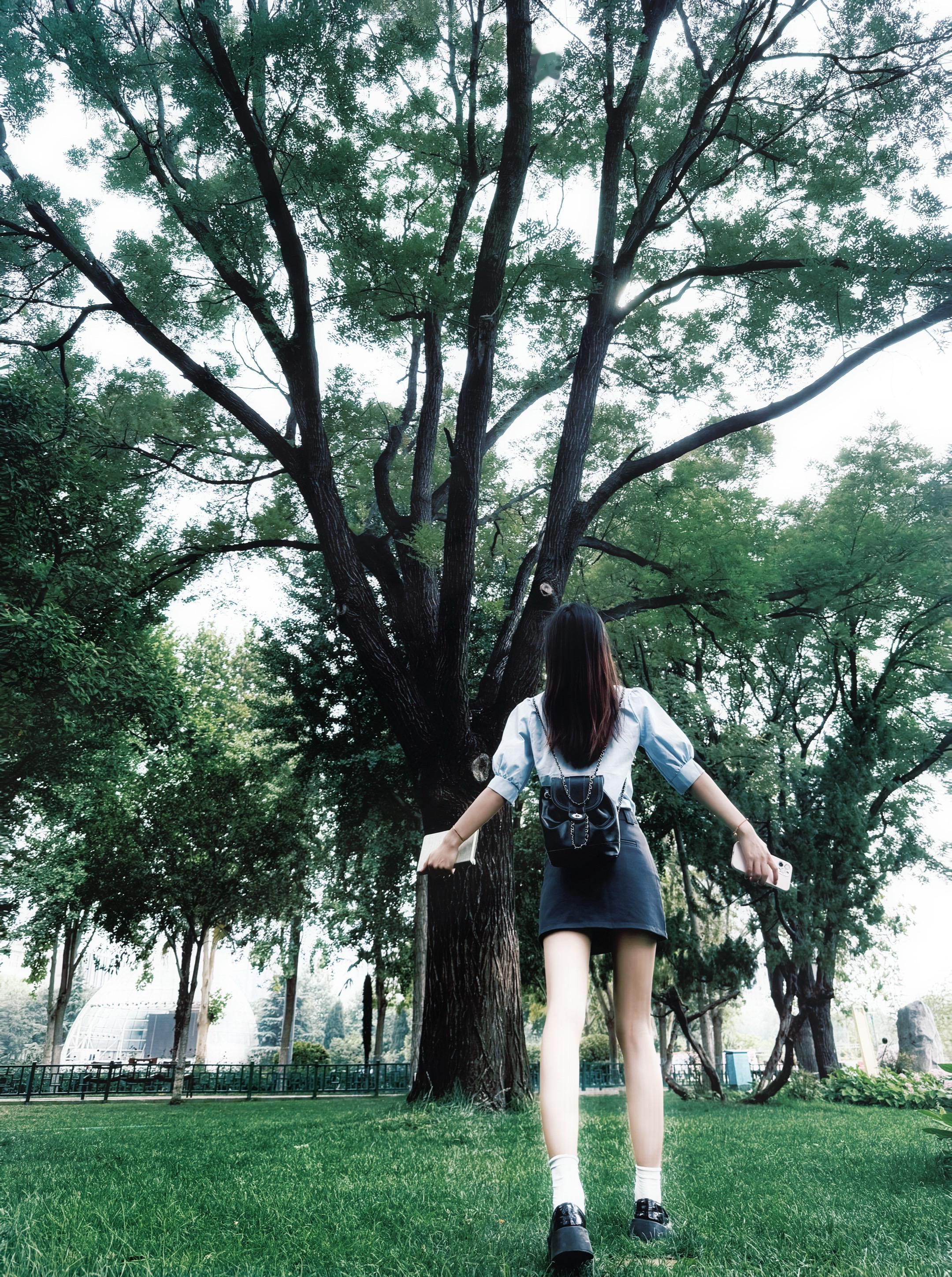 拥有一颗树的脉搏