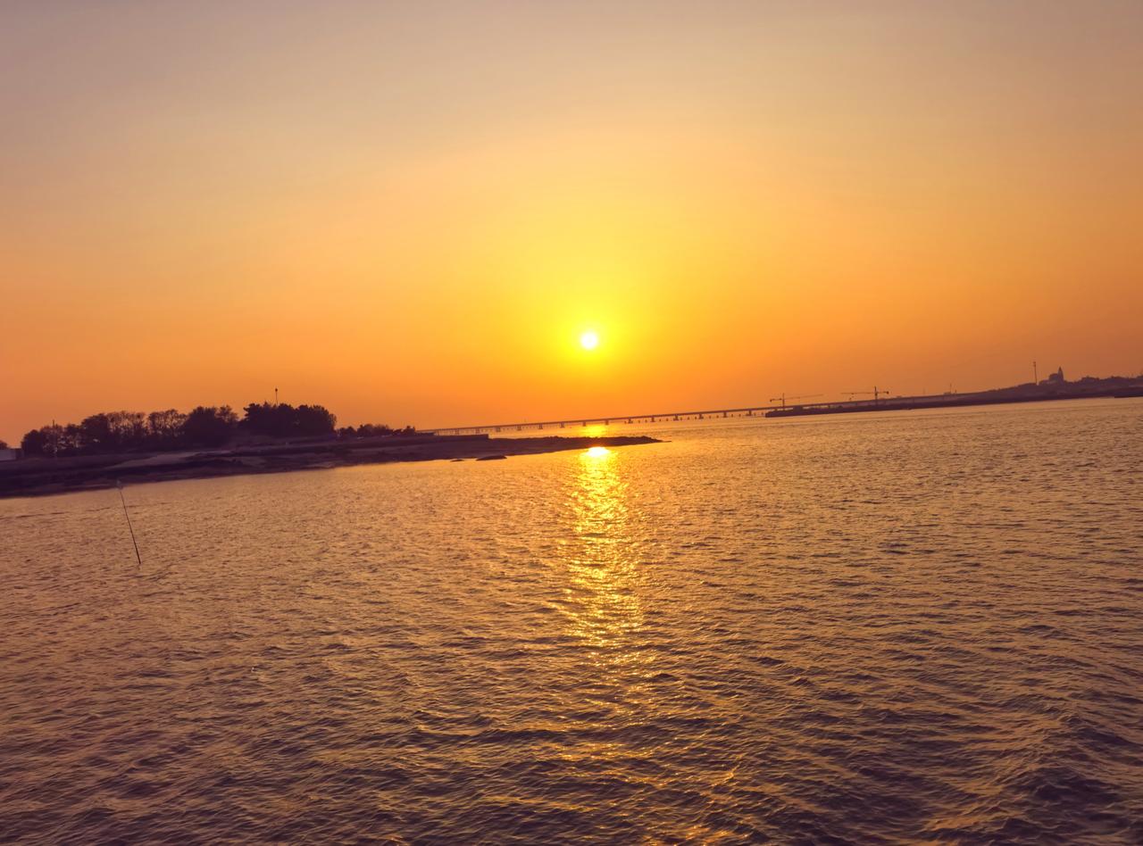 今天老婆跟孩子带着外孙女坐高铁去上海迪士尼了，不感兴趣没跟着去，晚上独酌，微醺，