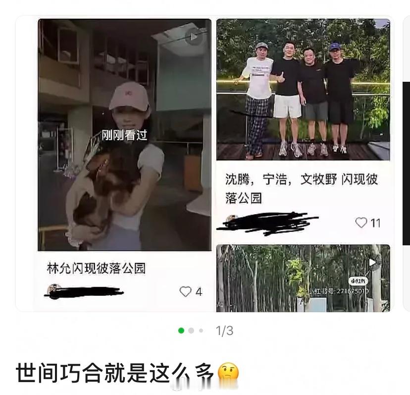 我很好奇他俩的谣言是怎么传出来的，八竿子打不到一起的人，抖人基本还都信了 ​​​