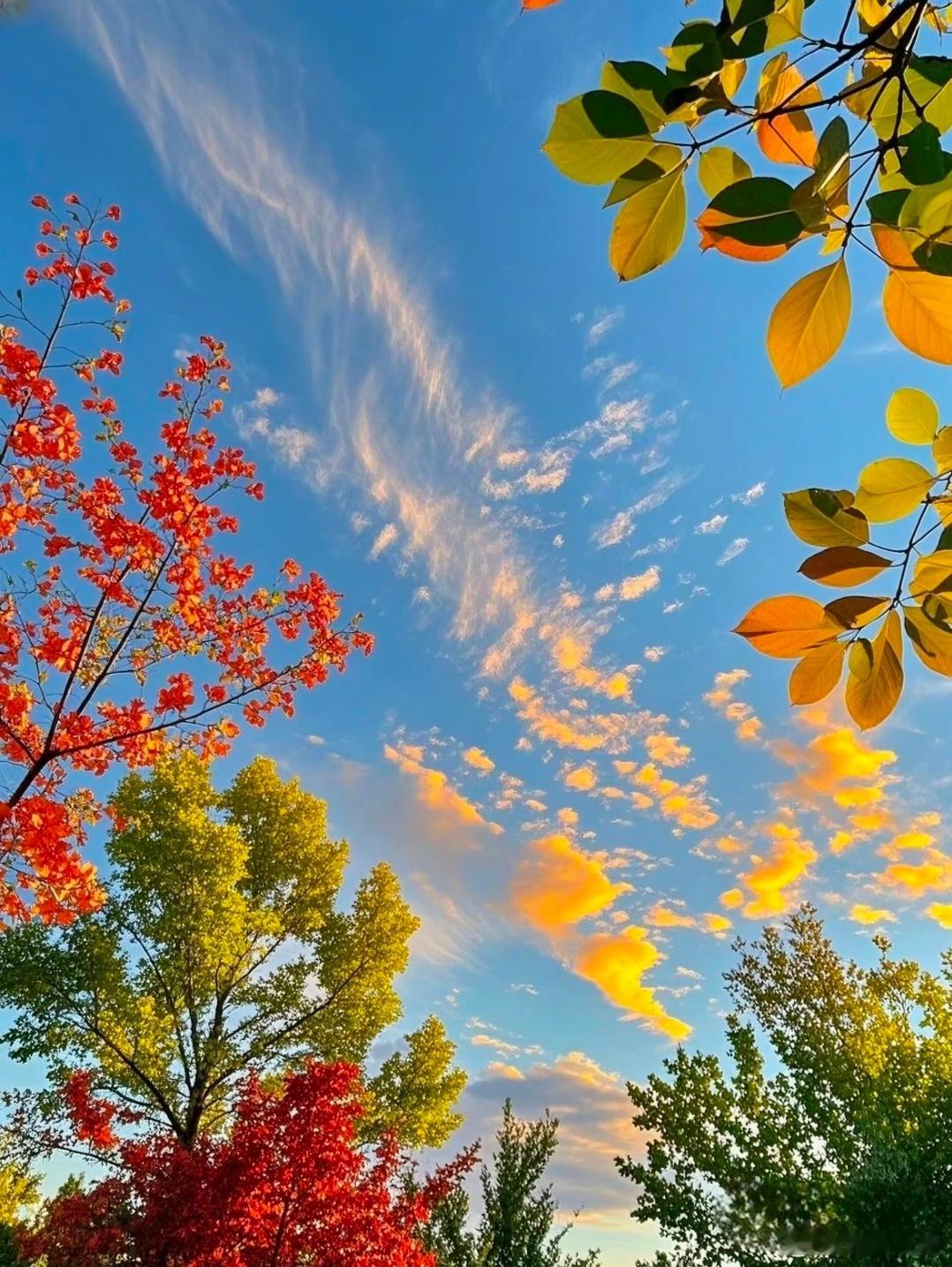 生活的天空不可能永远清澈透明，有风雨也是常事。但只要向阳而生，保持内心的天空始终