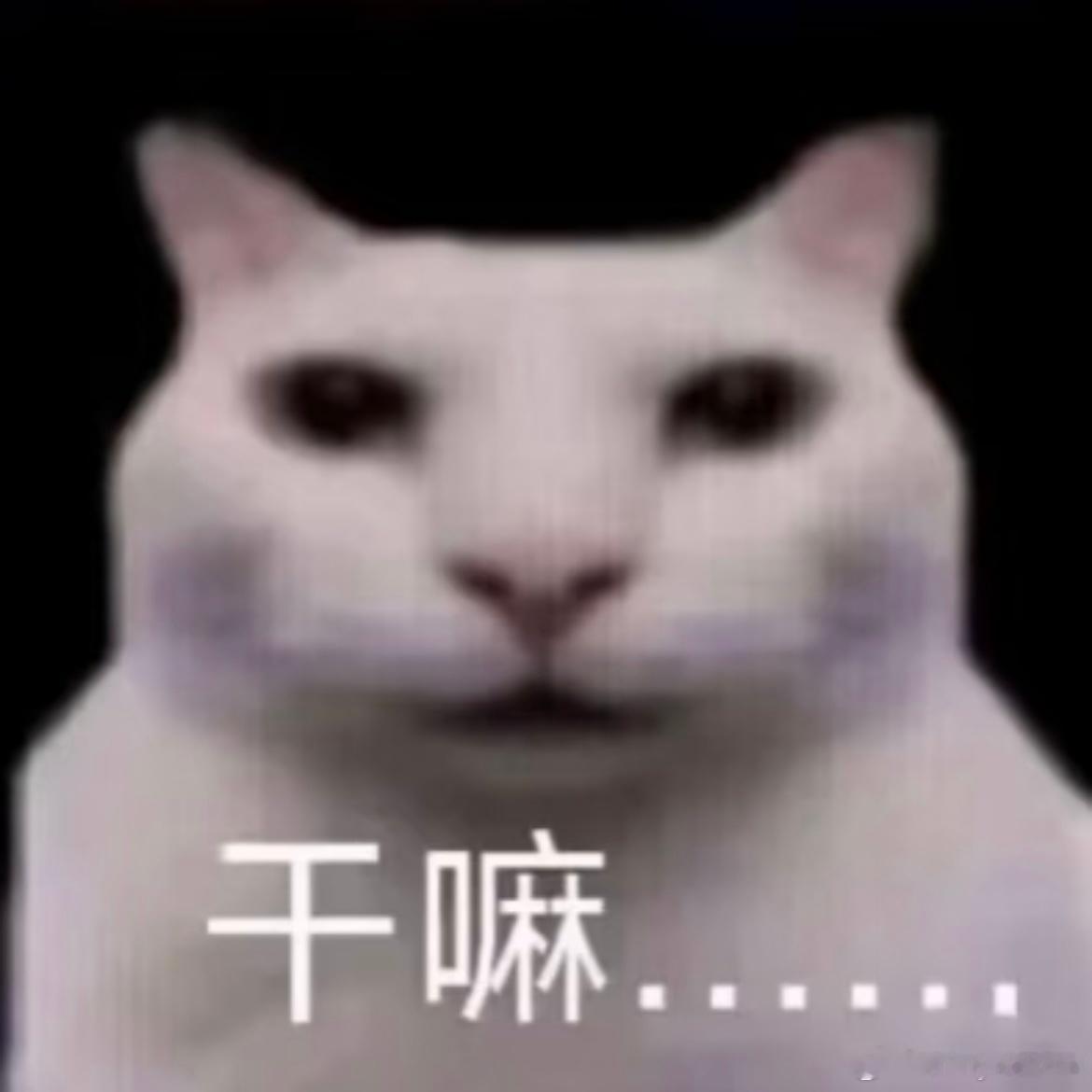 我真的不想再和这个威逼闹了 什么时候把我的红笔还我 