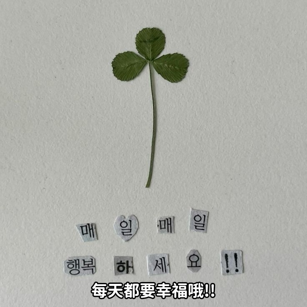 ☘️ 