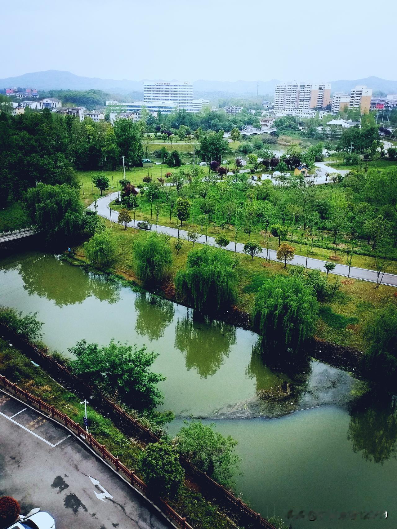 《雨霁. 龙泉华庭即景》
雨脚收时云未散，
一川烟水漾新寒。
石桥斜映青罗带，