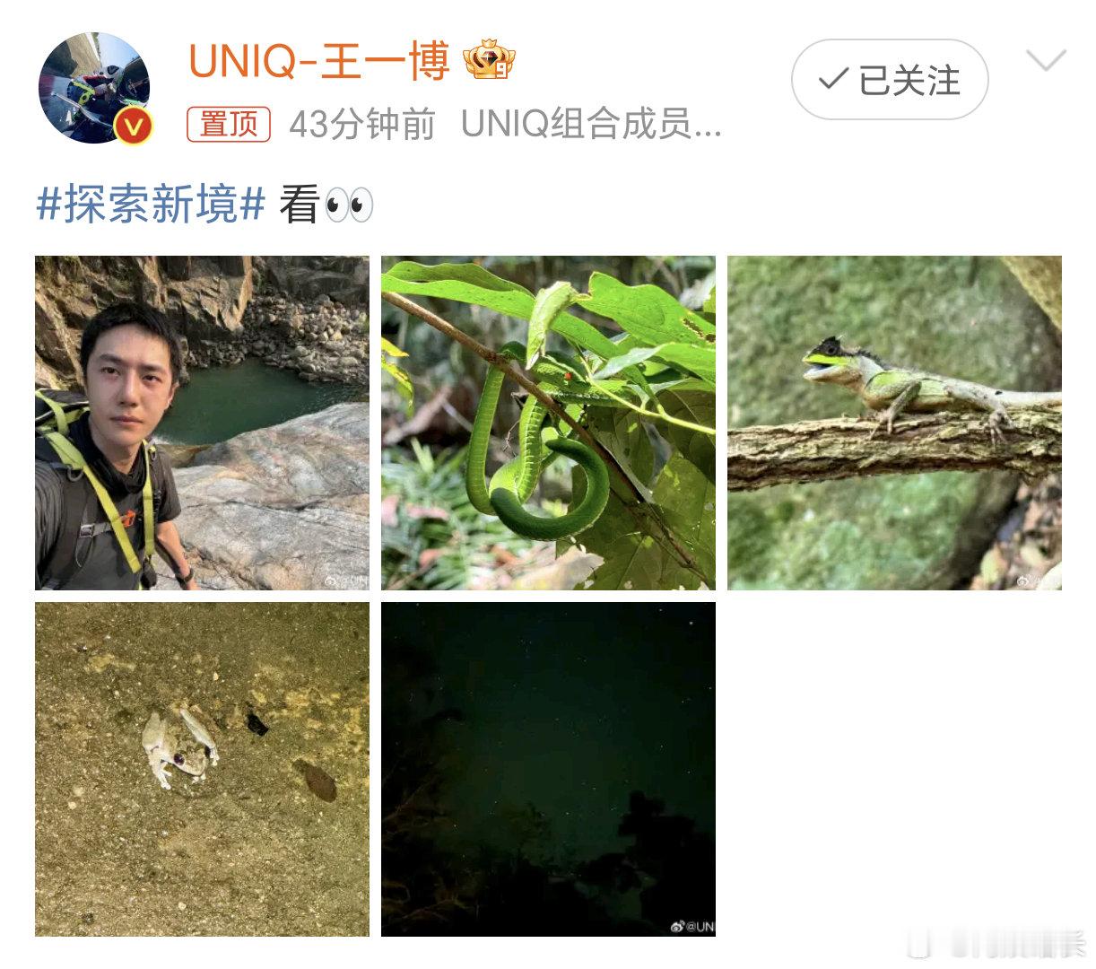#王一博胆子##王一博大自然博主# 王一博胆子好大啊！拍了好多小动物，与王一博见