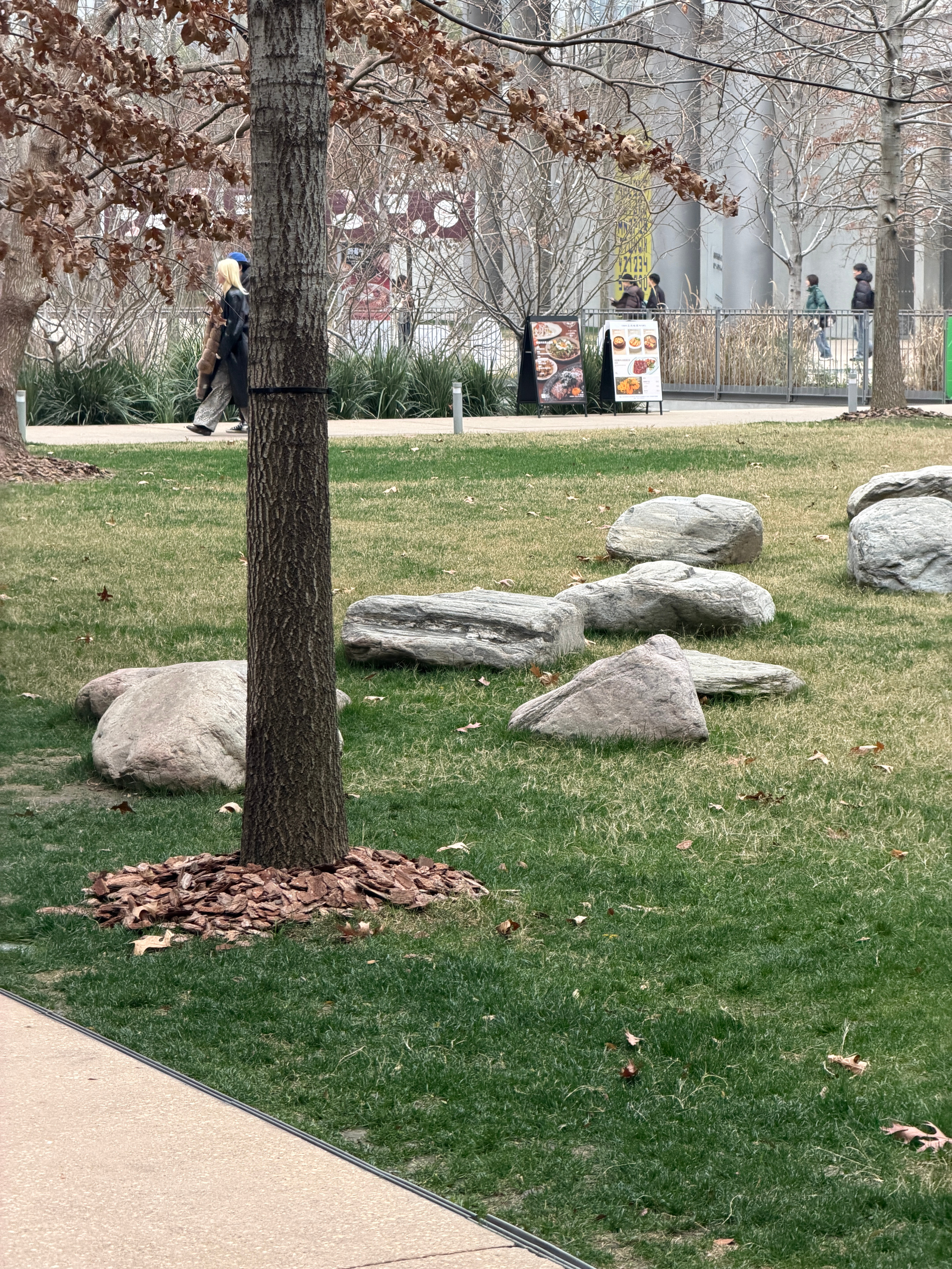 没调滤镜的富士草地