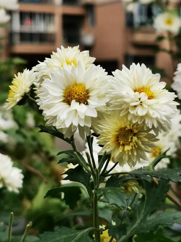 48岁护工免费照顾植物人8年，女孩苏醒后叫了声“妈”，结局让人泪崩：这世间，总有