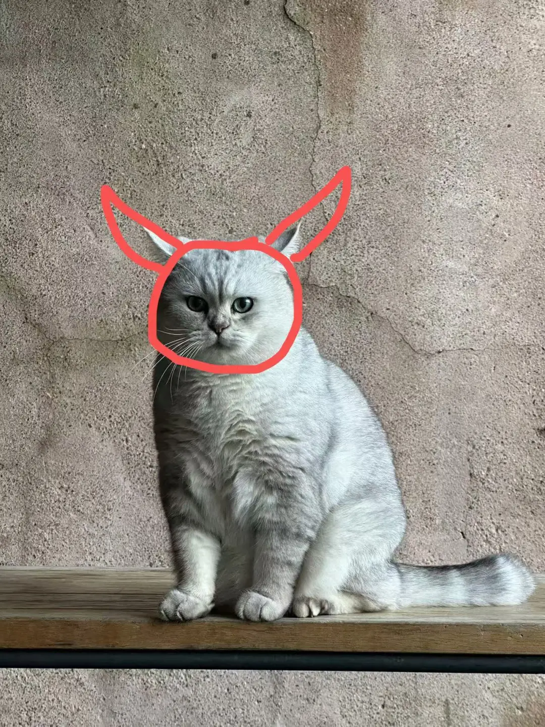 牛魔王