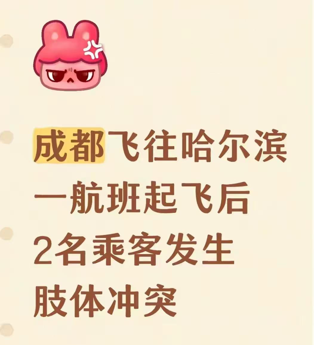 真的难以理解，就因为调座椅这点小事，居然在飞机起飞最危险的时候动手。
 
8月6