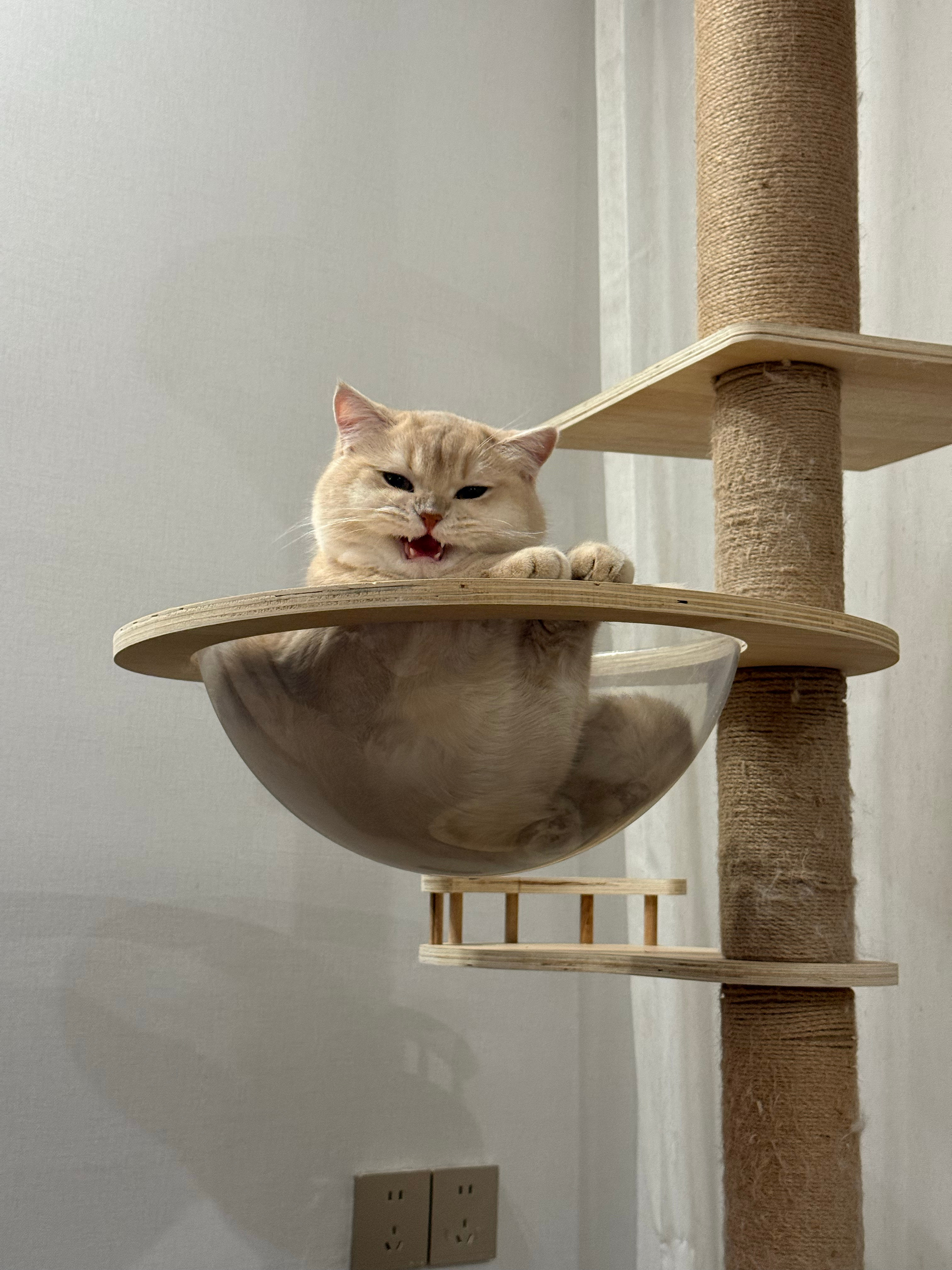 我的儿子我希望.... 