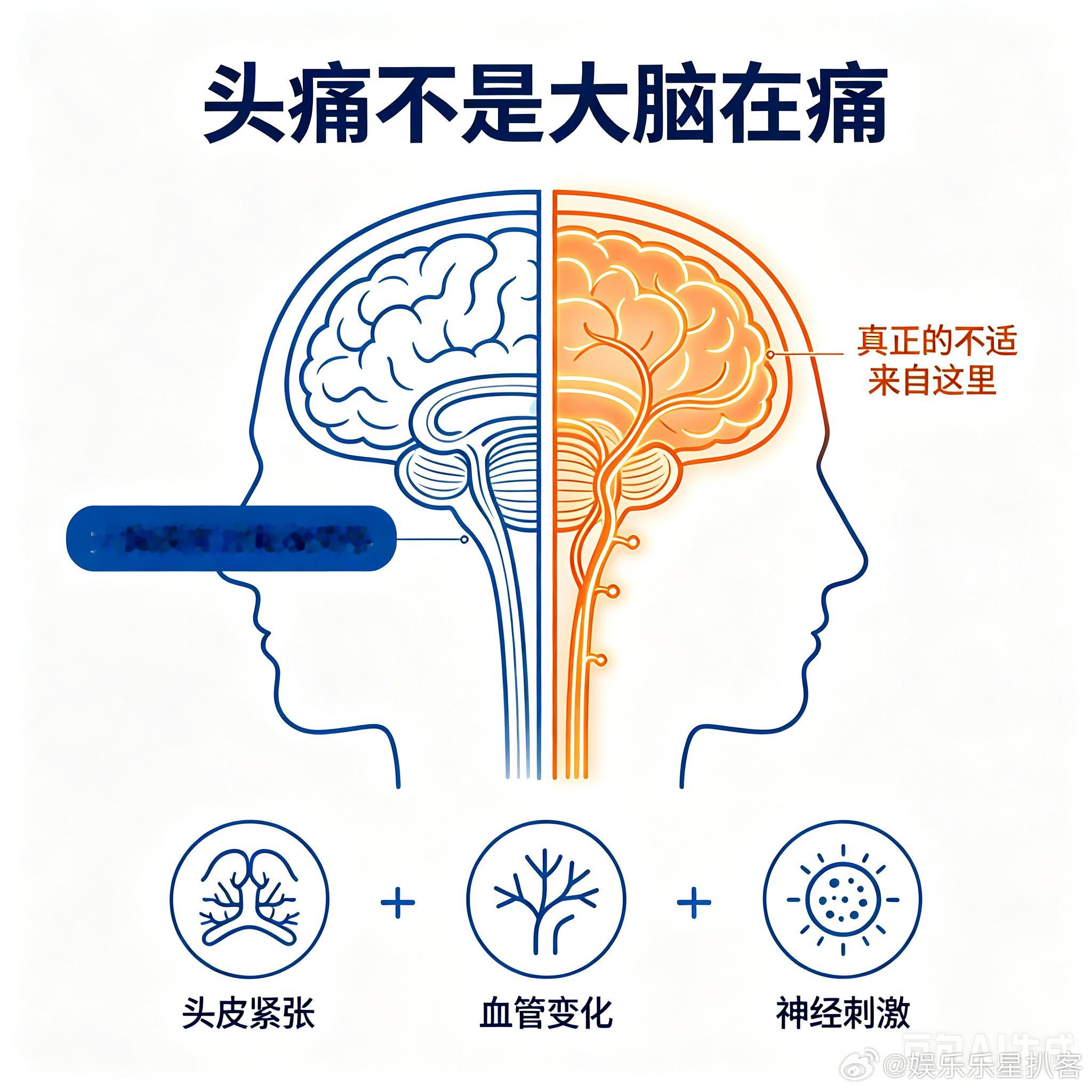 大脑本身无法感知疼痛，我们感受到的头痛，其实都来自头皮、脑血管与神经传来的不适感