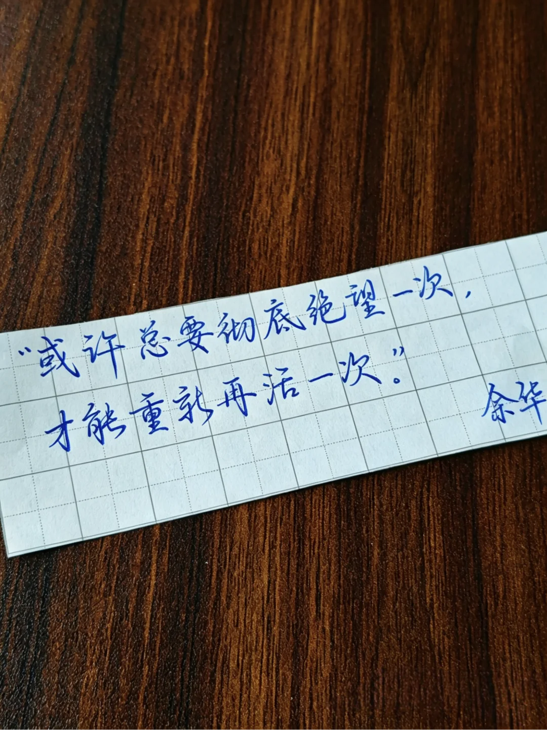 今日摘抄