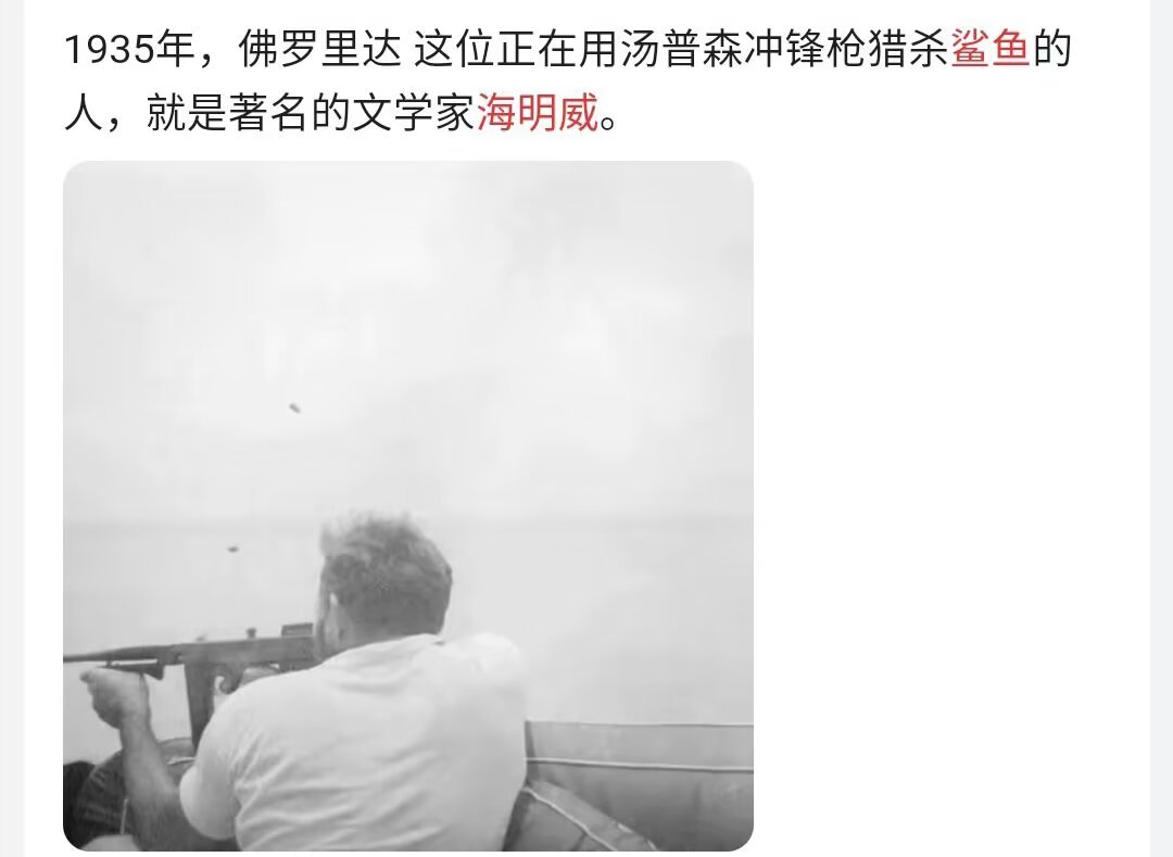 9796老子的海