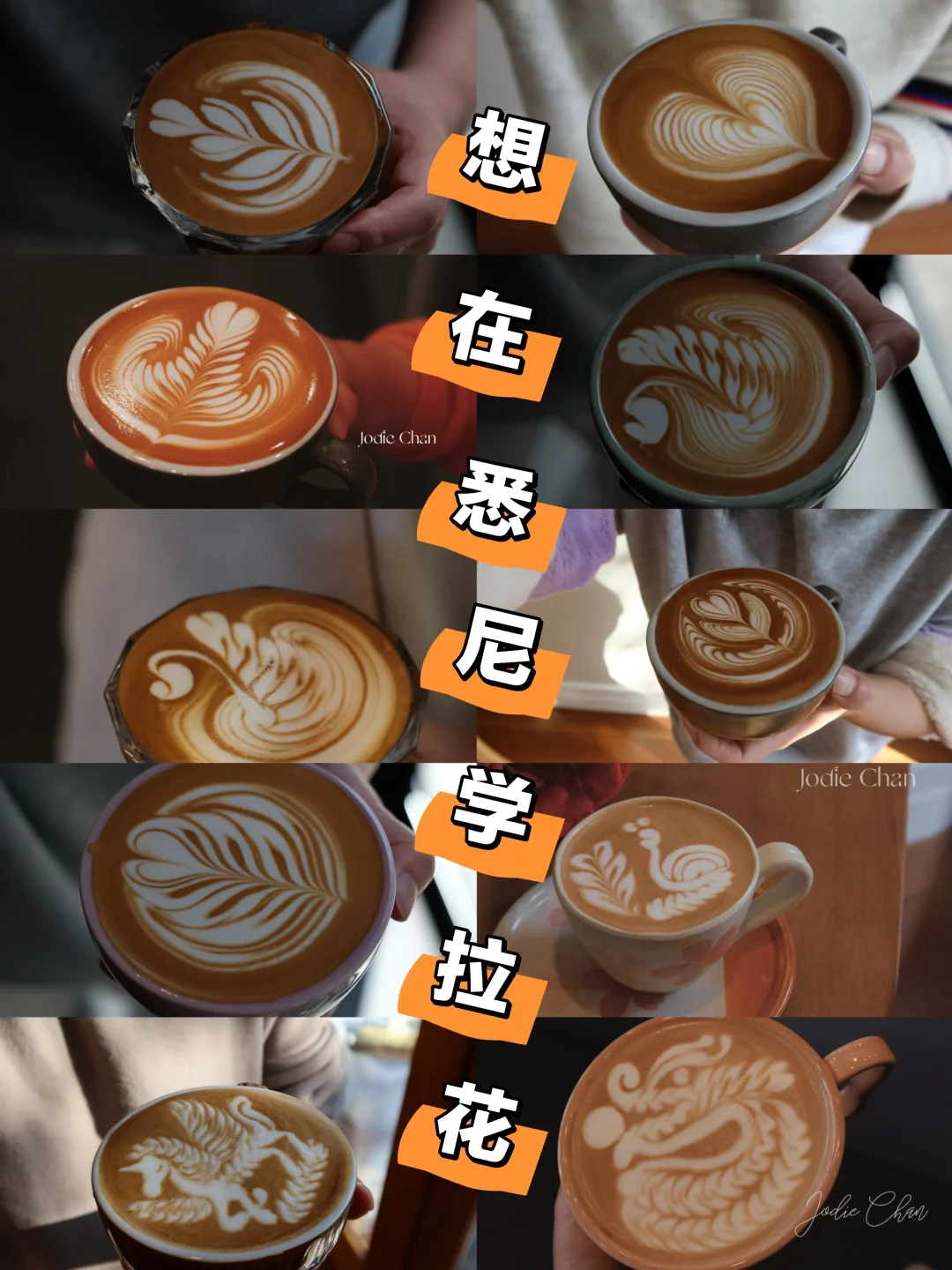 想学咖啡拉花☕️ 5月闪现悉尼