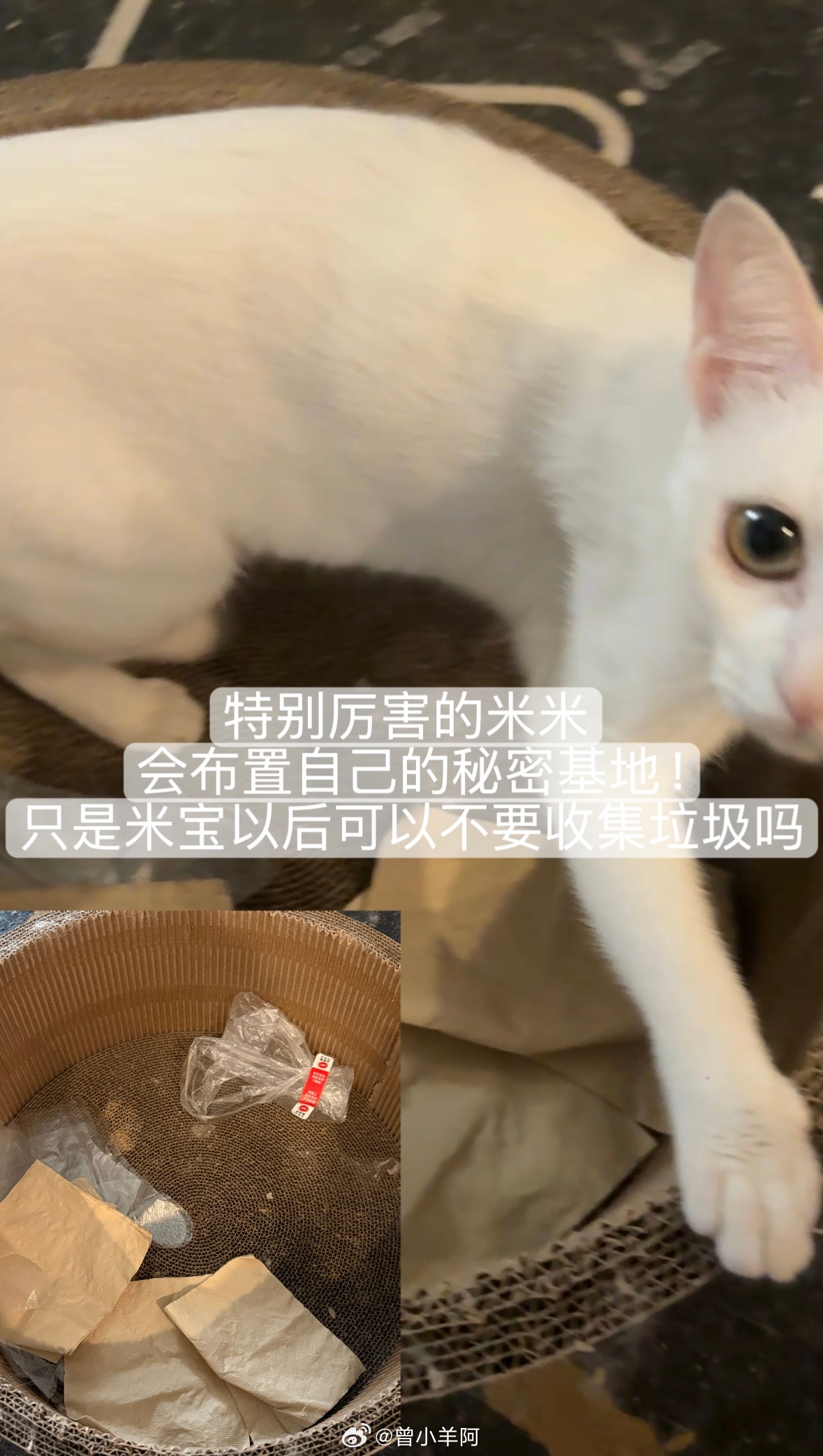 已经开始烦恼中秋节回汕尾要干嘛了 ​​​