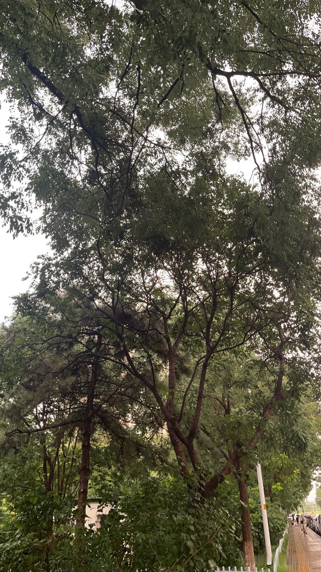 该为了钱去做一份不喜欢的工作吗可以