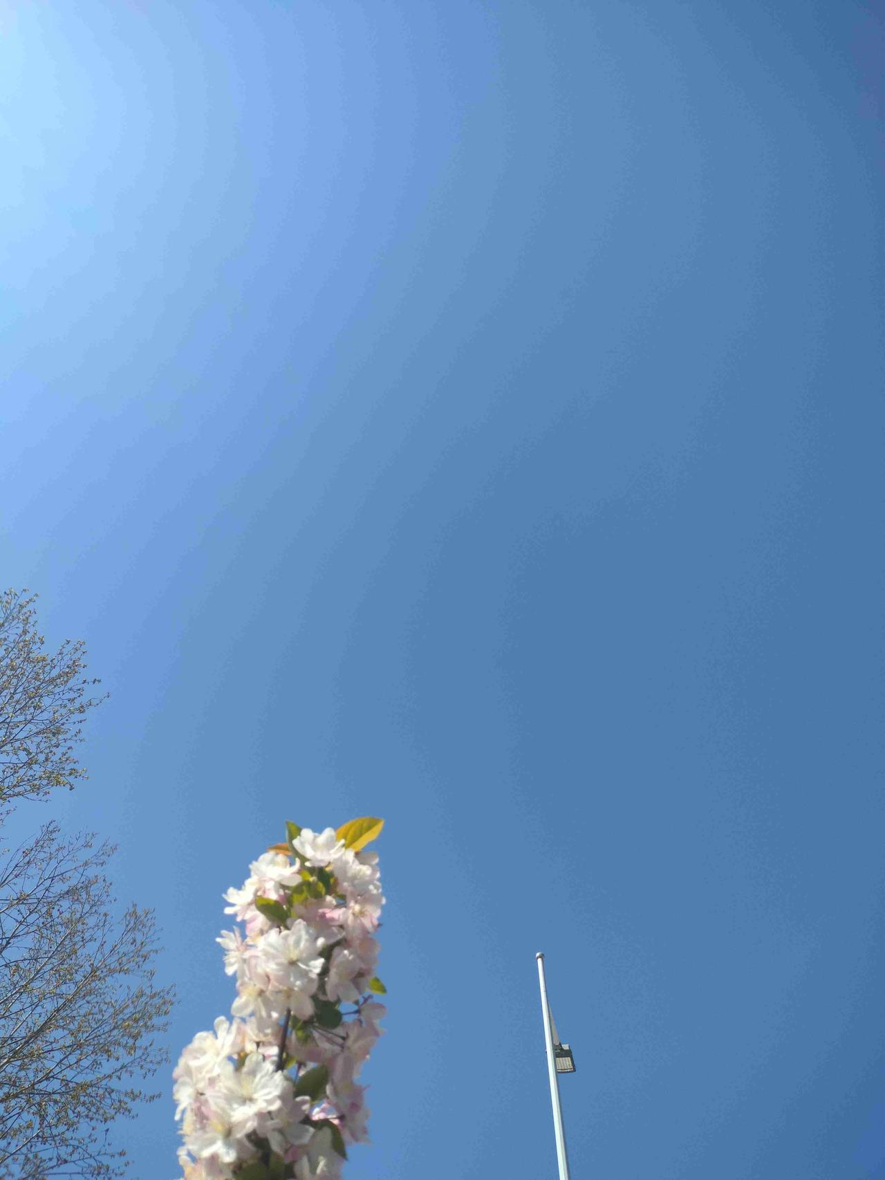 我的今日状态：💰期待暴富
我这里的天气：☀️晴天