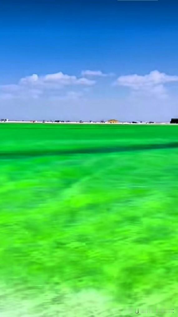 [彩虹]国内最“值钱”的湖泊就在青海！
察尔汗盐湖，湖水像大块翡翠，美得让人挪不