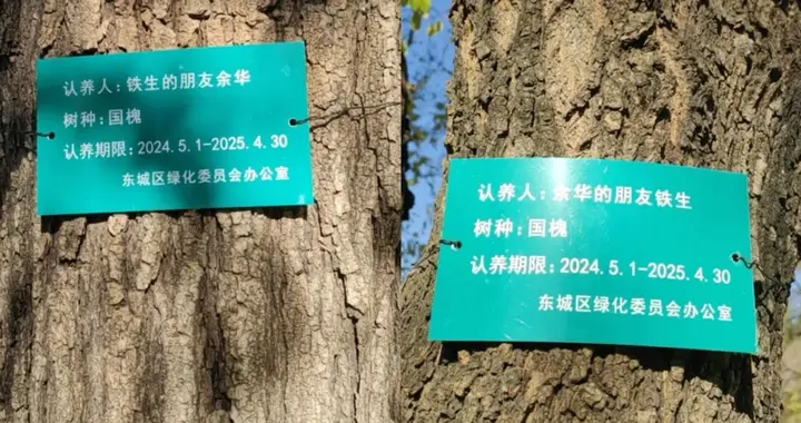 网友喊话余华“地坛公园的树该续费了”，余华回应……