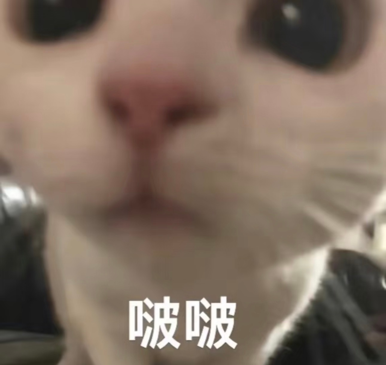 超话热度28.8万了！下一把努努力今晚冲30万👊🏻已经十点了，最后一个小时抓