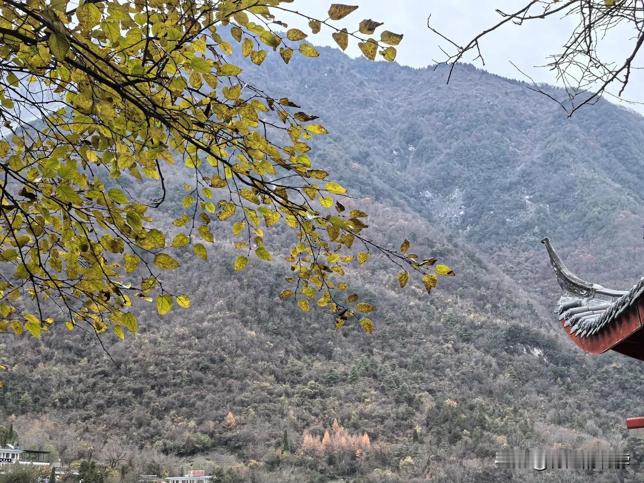 华为摄影爱好者 手机风景照分享