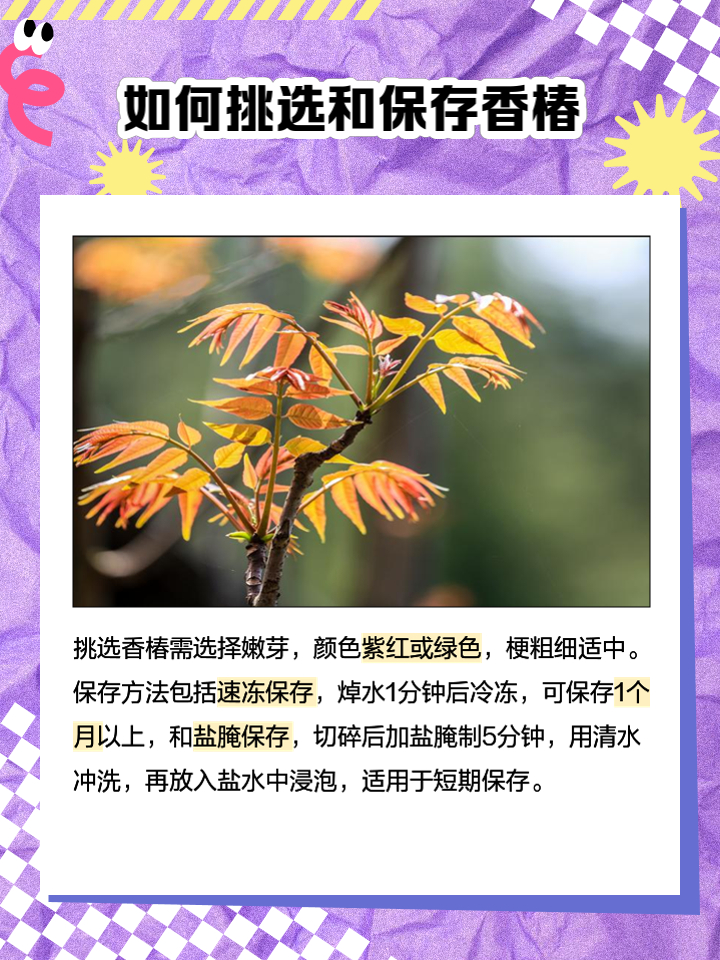 头茬香椿收购价比肩五花肉 香椿的吃法真是多种多样，每一种都让人垂涎欲滴。比如盐水