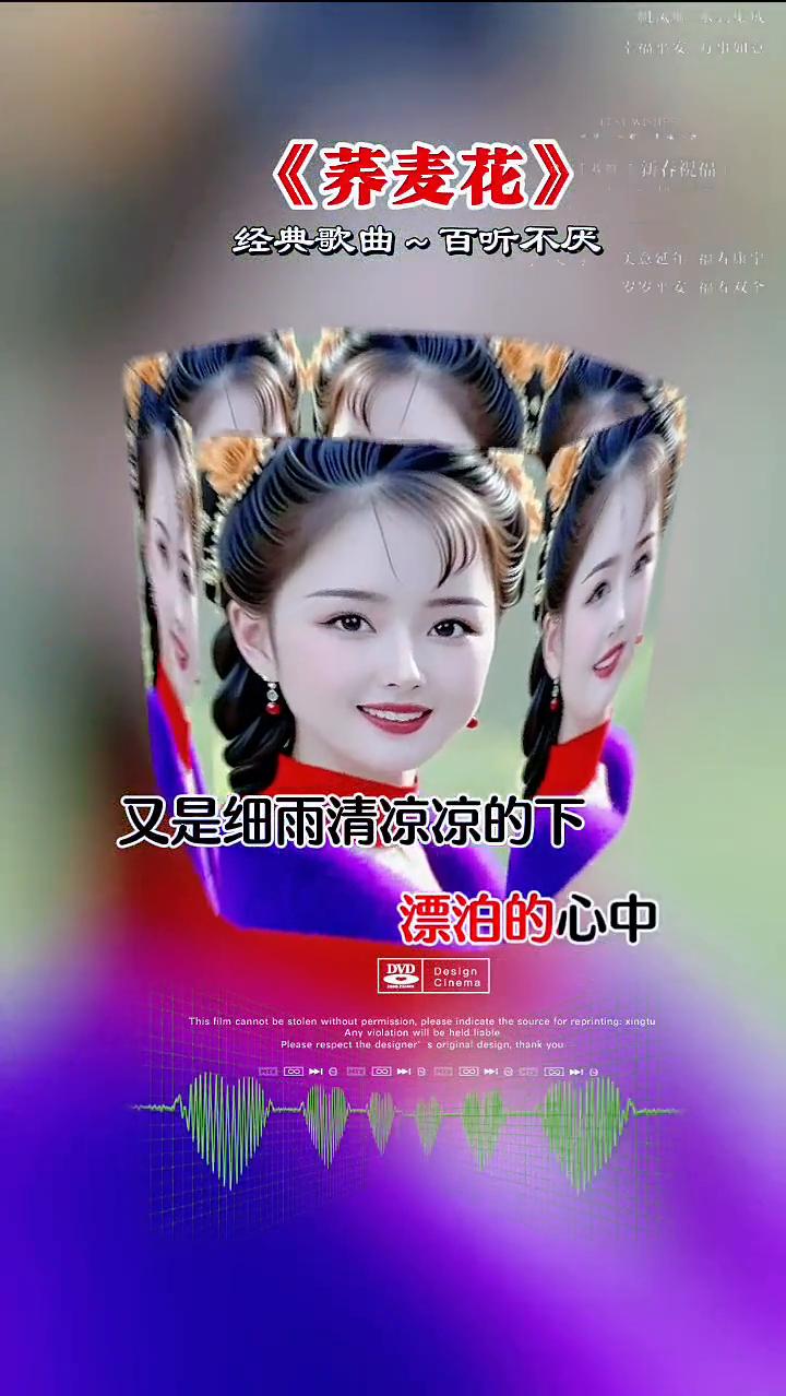 《荞麦花》经典歌曲百听不厌。
唱起你的时候，我想起了家。又是细雨清凉凉的下，漂泊
