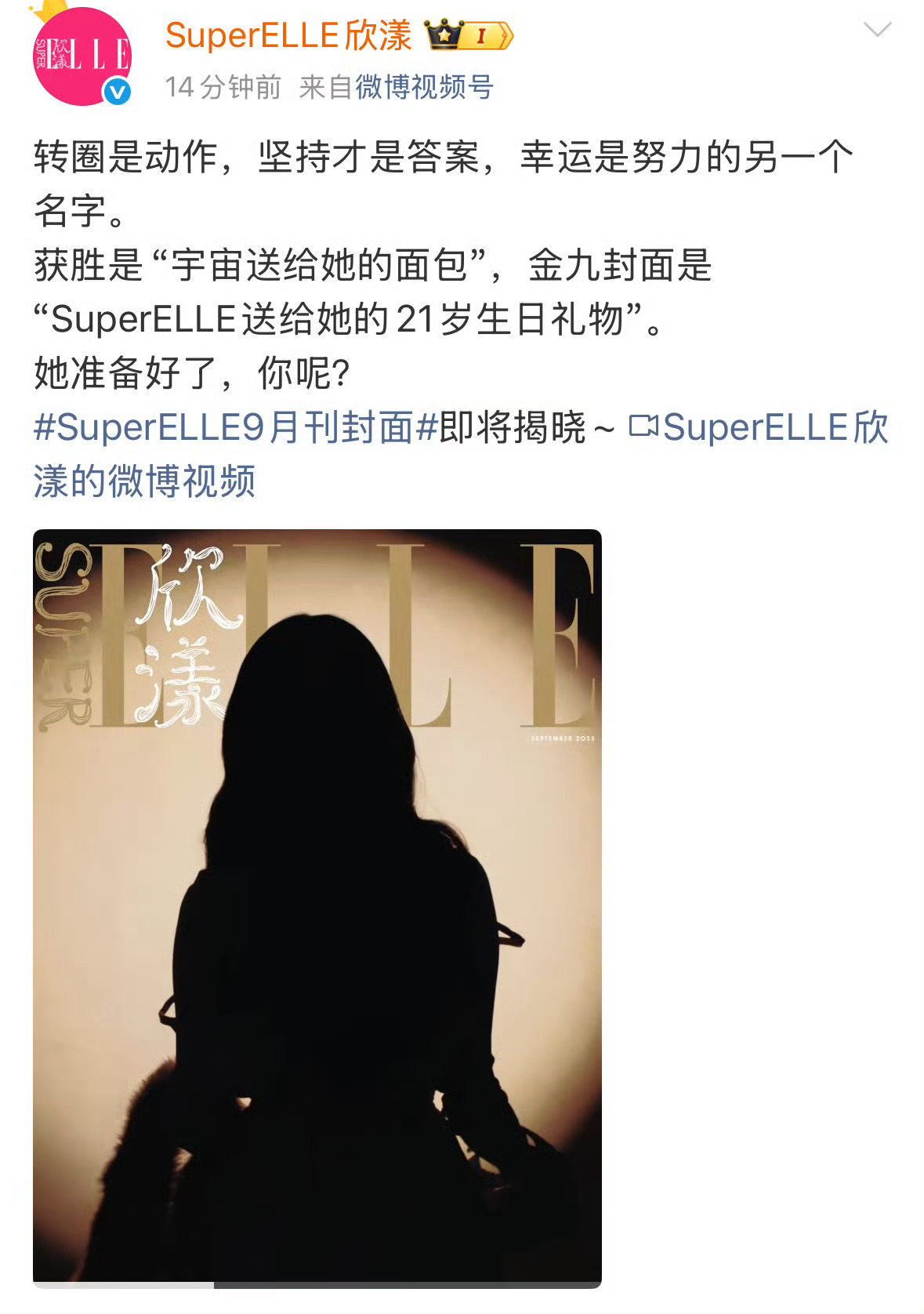 张元英登Super ELLE金九封面 ​​​