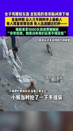 吓出一身冷汗！河南济源，一女子弯腰捡东西，坐轮椅的母亲却顺着斜坡疾速滑行，眼看就