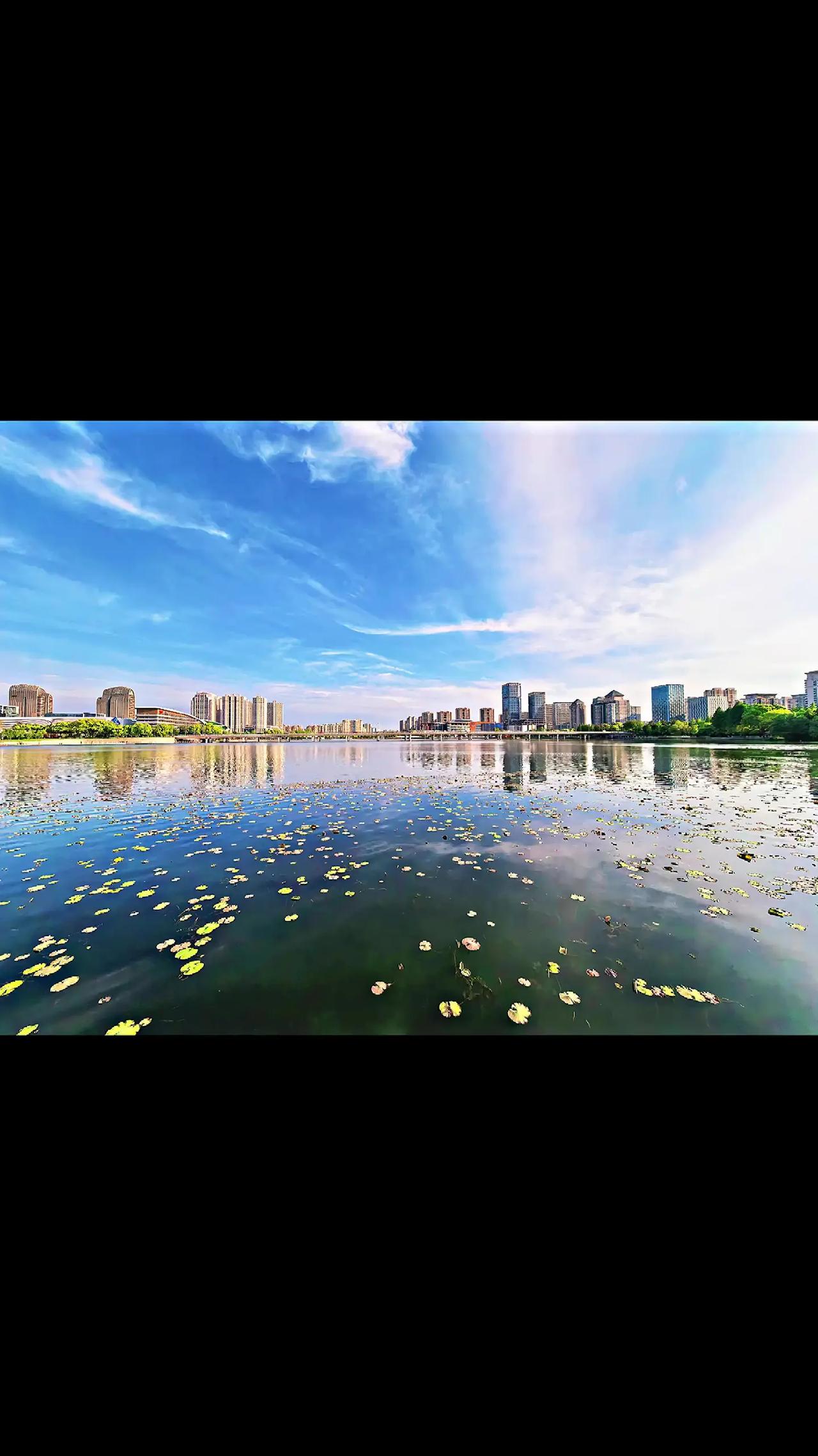 城市湖畔风景