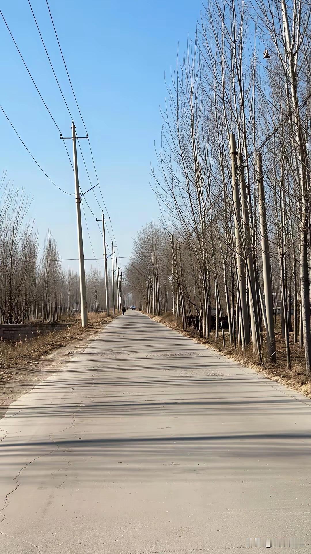 苏鲁豫皖四省交界，是不是都像你们自己回家的路，感觉面貌都一样，冬天的风景。皖豫毗