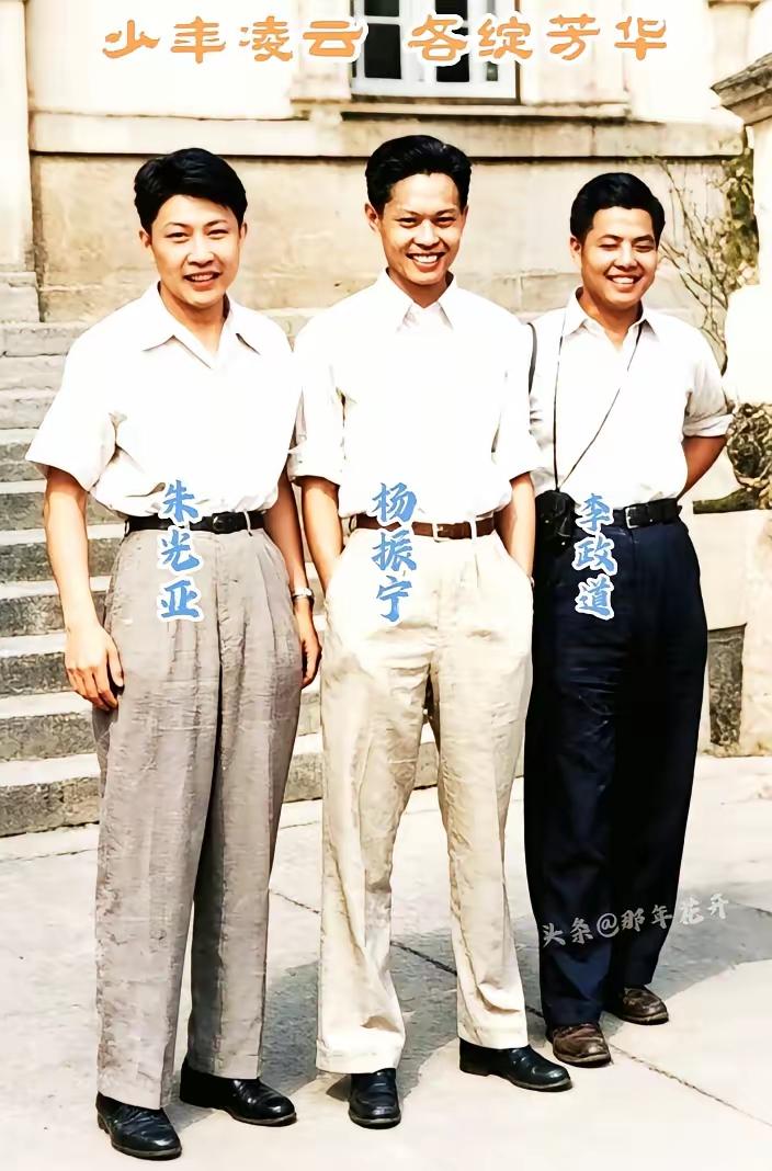 1947年美国校园里，朱光亚、杨振宁、李政道三位才俊同框，那画面堪称中国物理学的