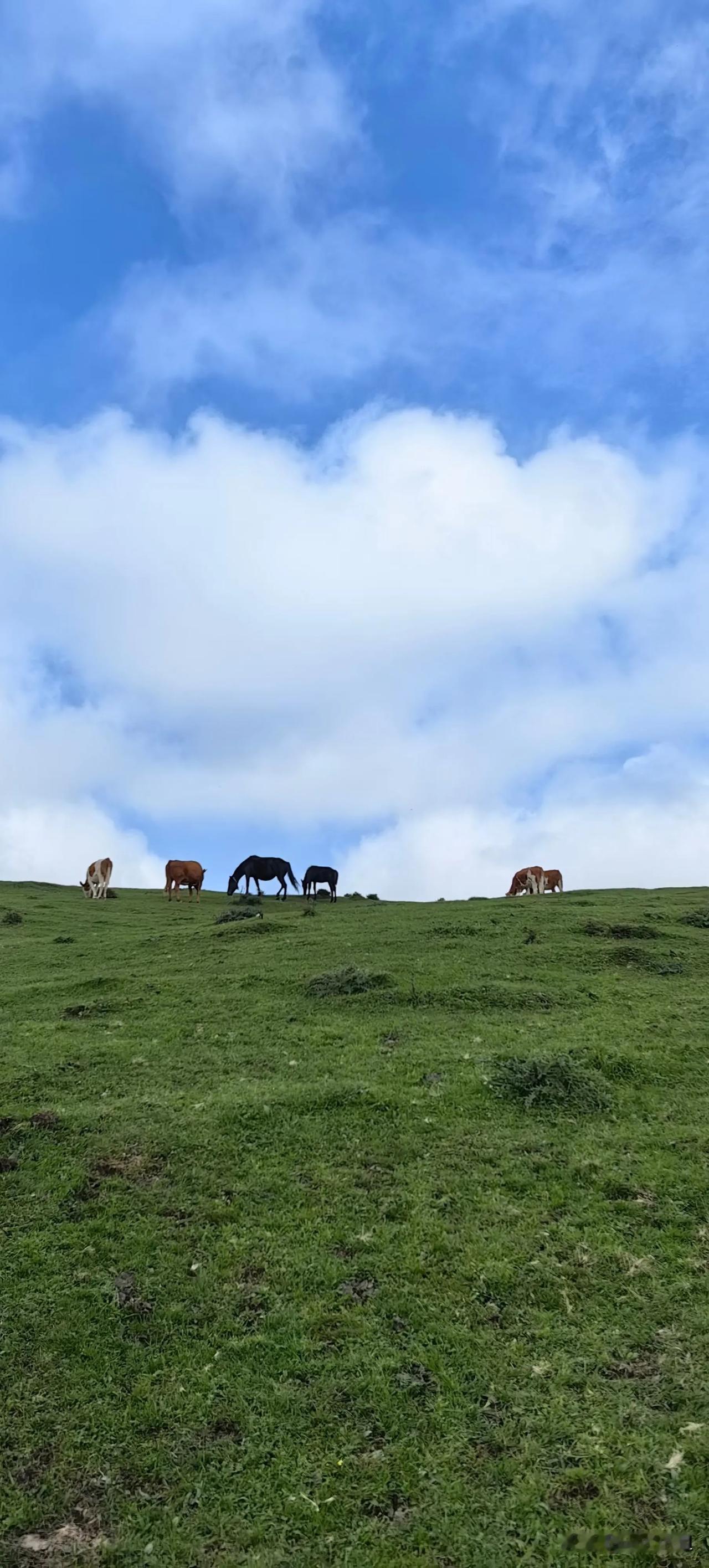 每次听到有人说要活的通透，要听从内心的声音，要随心、随性、随意，其实现实生活中9