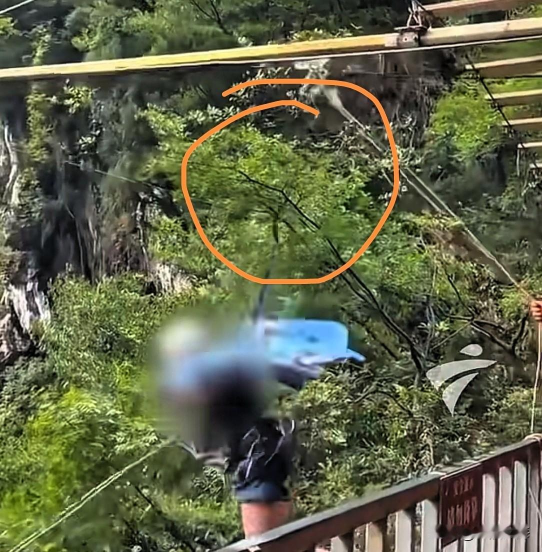 几十万，买断一条人命？这件事不该悄悄翻篇😭
 
看完四川瀑布坠亡女孩的事，心里