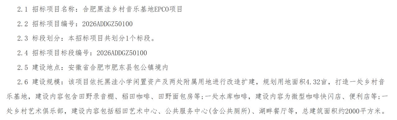 近日，合肥黑洼乡村音乐基地EPCO项目发布招标公告，项目编号2026ADDGZ5