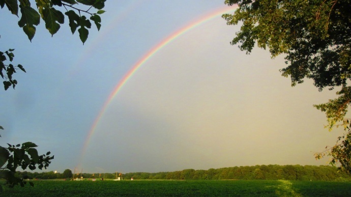 即使我预见了所有悲伤，但我依然愿意向往。 
