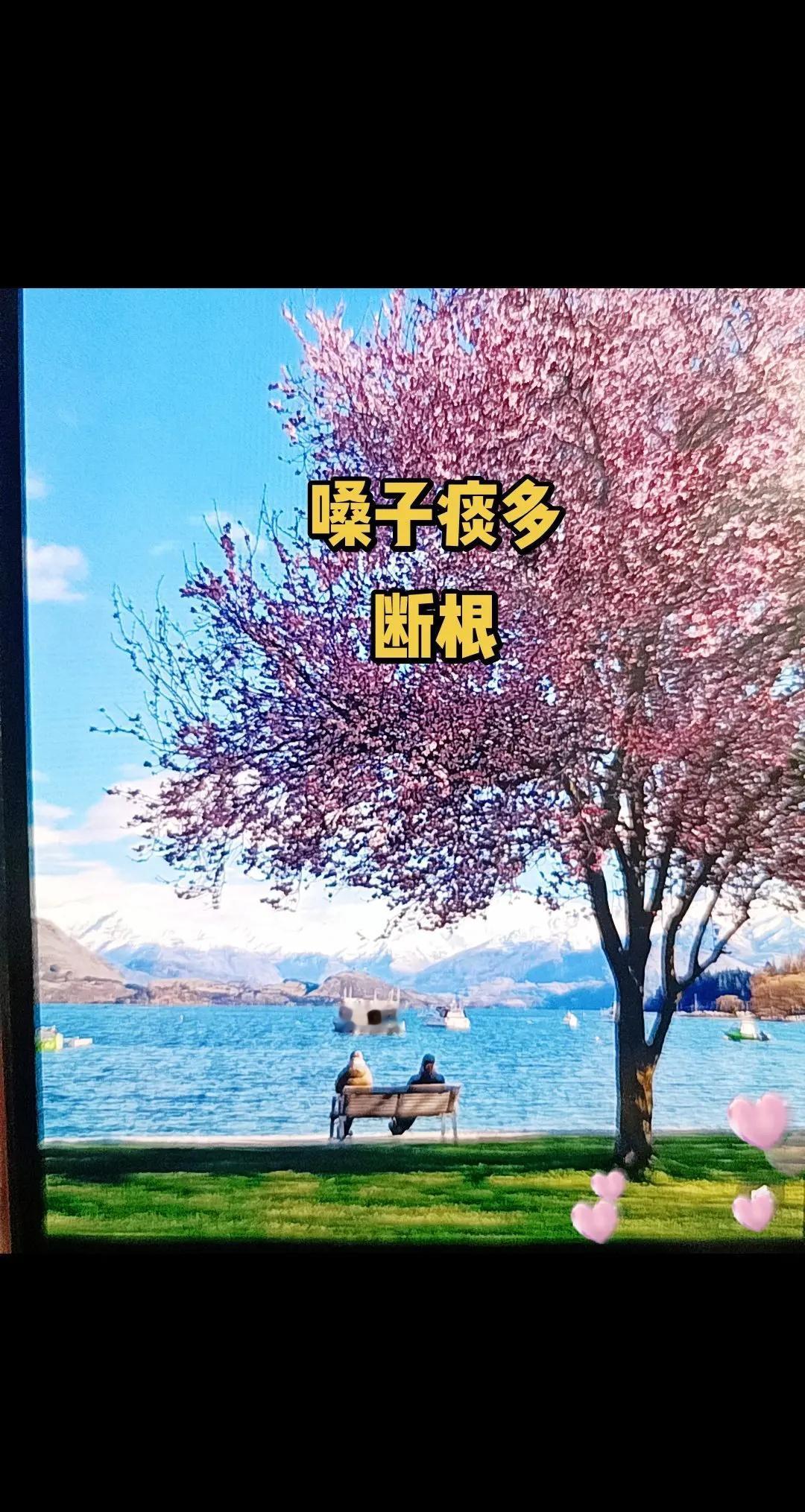 乒乓球坛樊振东出走国外德国表示取消WTT 比赛！为队友保底拿下比赛不敢输！国内王