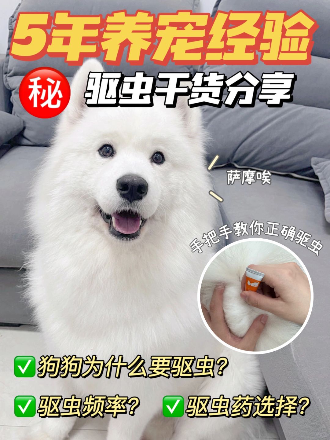 养狗经验干货 | 养狗人怎么选驱虫药？