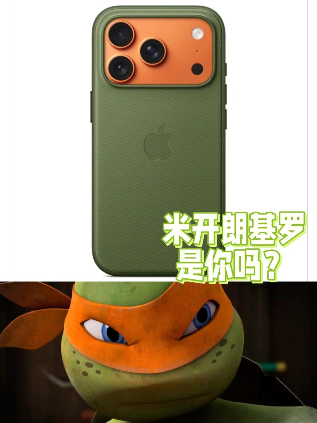 一下子勾起了我尘封多年的记忆。。。好像是忍者神龟里的老三吧？米开朗基罗，话说iP